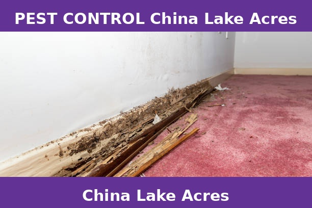 PEST CONTROL China Lake Acres